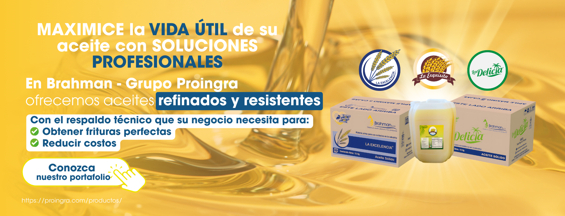 aceite de freidora